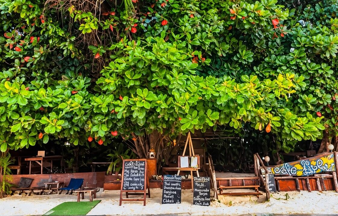 Café Lipe under its big tree on the beach, with blackboards for breakfast and Thai food